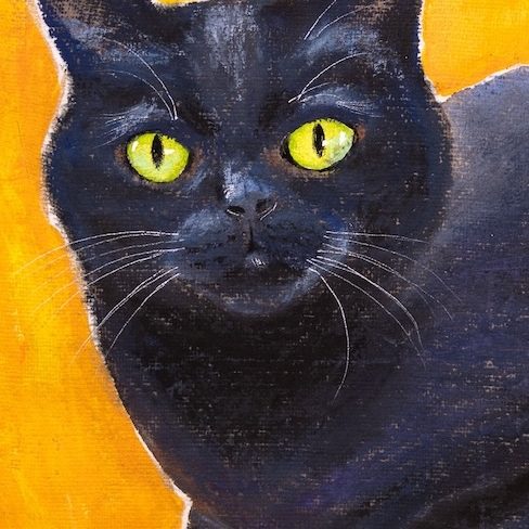black-cat-yellow-background-2-